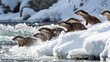 A group of playful otters sliding down a snowy bank into a chilly river, their joyous antics bringing life and laughter to the serene winter landscape.