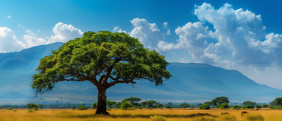 Wall Mural - savanna with a big tree in the middle