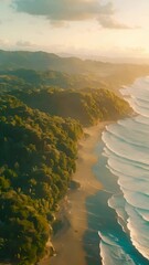Wall Mural - Aerial View of Coastal Forest and Beach