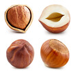 Hazelnut isolated. Hazelnut Filberton white background. Forest nuts with clipping path