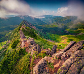 Poster - Foggy summer view of Chornogora ridge, Ukraine, Europe. Stunning morning scene of Shpytsi peak in Carpathian mountains. Beauty of nature concept background..