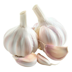 Wall Mural - A vibrant image showcasing a head of fresh garlic and cloves set against a transparent background