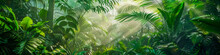 A Lush Green Jungle With Sunlight Shining Through The Trees