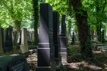 Jewish cemetery in Katowice, Kozielska 16, July 2023