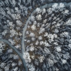 Sticker - A winter landscape with a river and trees