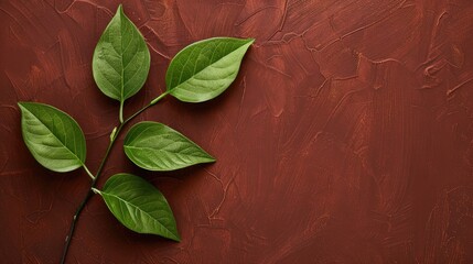 Canvas Print - Three green leaves on a vibrant brown backdrop with room for text