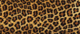 Fototapeta  - wild cheetah leopard animal texture fur skin background created with Generative AI Technology