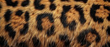 Fototapeta  - wild cheetah leopard animal texture fur skin background created with Generative AI Technology