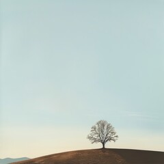 Canvas Print - A minimalist landscape featuring a solitary leafless hardwood tree on a hilltop, with a vast, empty sky above and a thin line of distant mountains.