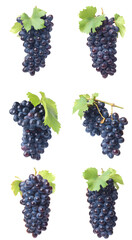 Poster - Set of grapes isolated