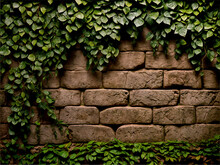Old Stone Wall Overgrown With Ivy And Foliage. Rustic Stone Wall Background Wallpaper.