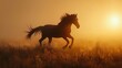 A wild horse runs through a field of tall grass at sunset.