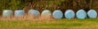 Hay bales wrapped in green plastic foil