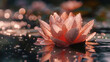 Serene Water Lily with Dew Drops at Twilight