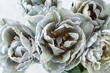 Natural terry tulip flowers painted in shades of grey closeup on light background.  Vintage style.