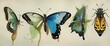 Artistic Metamorphosis: The Evolution of Butterfly Imagery