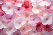 Cherry Blossom Gradient Tints: Pastel Petal Gradients Heaven