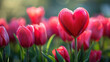 Field of Red Tulips With Heart-Shaped Flower