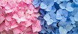 Detailed close up of exquisite blue and pink flowers showcasing vibrant colors and intricate details