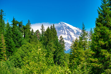 Poster - Amazing view of Mount Rainier National Park in summer season, Washington - USA