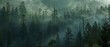 Enormous redwoods stand tall in misty forest, creating a primordial and mystical atmosphere.