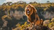 © liliyabatyrova - A lion is sitting on a rock and roaring