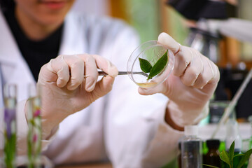 Lab plants