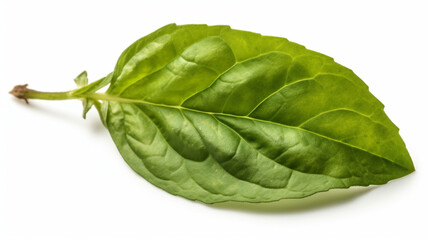 Basil leaf transparent background, no shadow сreated with Generative Ai