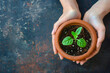 Hands planting a seedling in a pot, metaphor for growth and nurturing ones mental health 