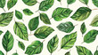 Seamless pattern with hand drawn green leaves Vector