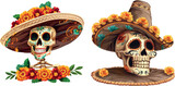 Fototapeta Dziecięca - Dia de muertos mexico national remember symbol, sugar catrina skull marigold petal sombrero mexican