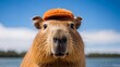Capybara wearing an orange hat with nature background