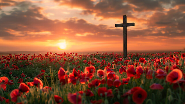 The cross in the midst. Field of red poppies at sunrise