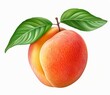 A peach is a round fruit with a pointed tip and a fuzzy skin that is yellow, orange, or red in color. The flesh of the peach is white or yellow and is juicy and sweet. There is a brown pit in the cent