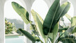 Close-up image of banana tree leaves on the background of a modern villa