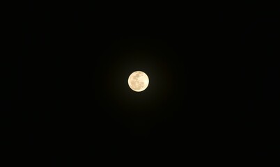 Wall Mural - bright yellow full moon floating on sky in night background