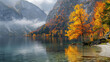 Yellow autumn trees on the shore of lake in Austrian 