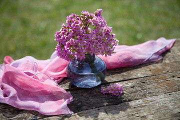 Wall Mural - Bouquet of bergenia in a light vase on a dark background. Copy space