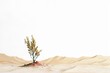 A desert landscape with a tiny oasis nature sand tranquility.