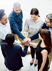 Wall Mural - Business people, hands and stack for teamwork support or partnership as b2b project, target or goals. Men, woman and circle or tech startup or community collaboration or diverse, huddle or solidarity