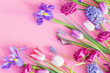 beautiful spring flowers on pink paper background