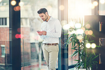 Canvas Print - Man, office and texting on smartphone for internet or check social media, post and messages. Business person, lens flare and window with communication or networking for news update and website