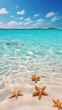 Desert bottom with starfish in the Caribbean Sea underwater outdoors horizon.
