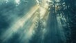 Panoramic mystic atmosphere of natural foggy fir forest spruce trees with sunbeams. AI generated