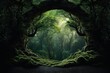 Green natural tree archway forest landscape woodland