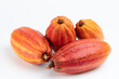 Group of orange color cacao fruits