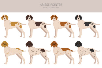 Wall Mural - Ariege pointer_3