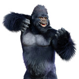 Fototapeta Koty - 3D Rendering Black Gorilla Ape on White