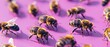 bee on a violet paper background 3d 