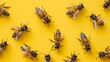 Bees on a yellow background. Horizontal photo with bees. Concept for editing 
